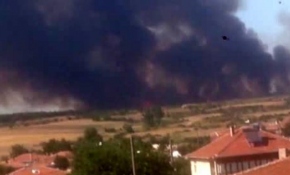 Edirne'de orman yangını