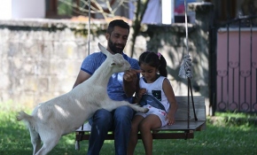 Keçi Pamuk ailenin bir üyesi oldu