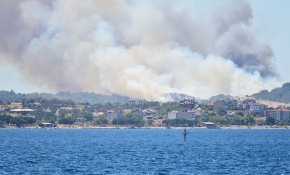 Çanakkale'de orman yangını