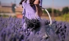 Afşin, lavanta tarlalarıyla turizme kapı aralıyor