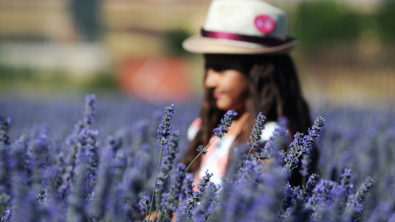 Hem Eshab-ı Kehf Külliyesi hem de lavanta tarlalarıyla ilçede ekonomik gelirin yanında turizm için çekim alanı oluşturulması hedefleniyor.