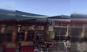 İzmir'de Sanat Sokağı'nı arılar bastı