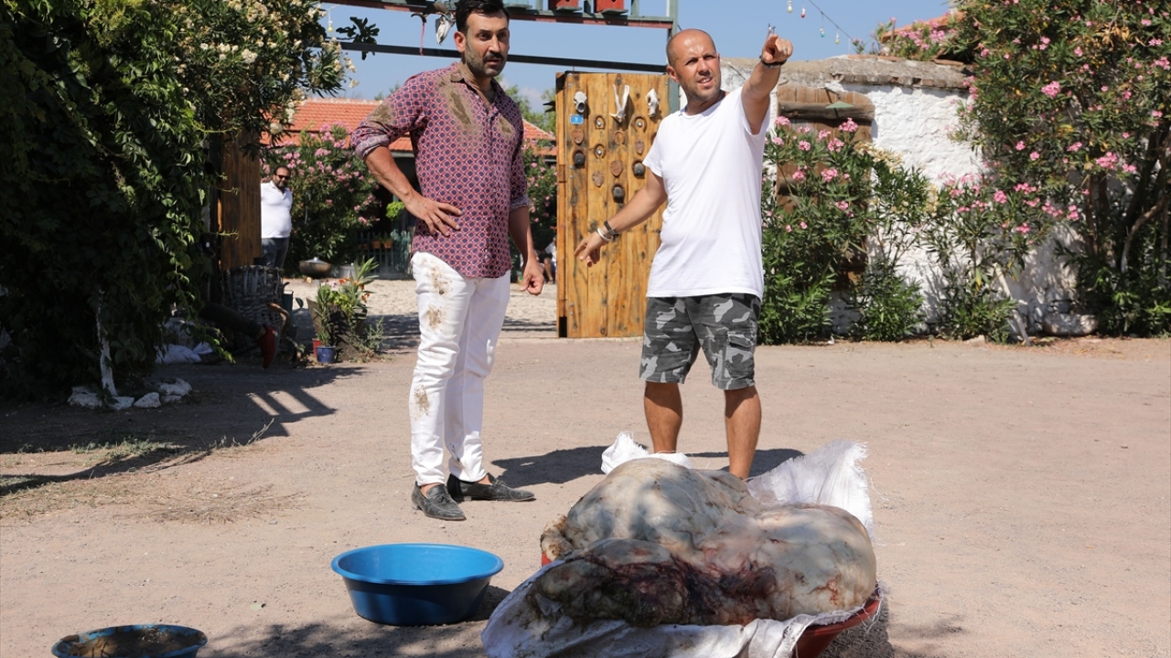 Yönetmen Ali Ayyıldız da 12 günde böyle bir film çekmeyi başardıkları için çok mutlu olduğunu, sıcak havaya rağmen güzel bir çalışma ortamıyla işin üstesinden geldiklerini anlattı.