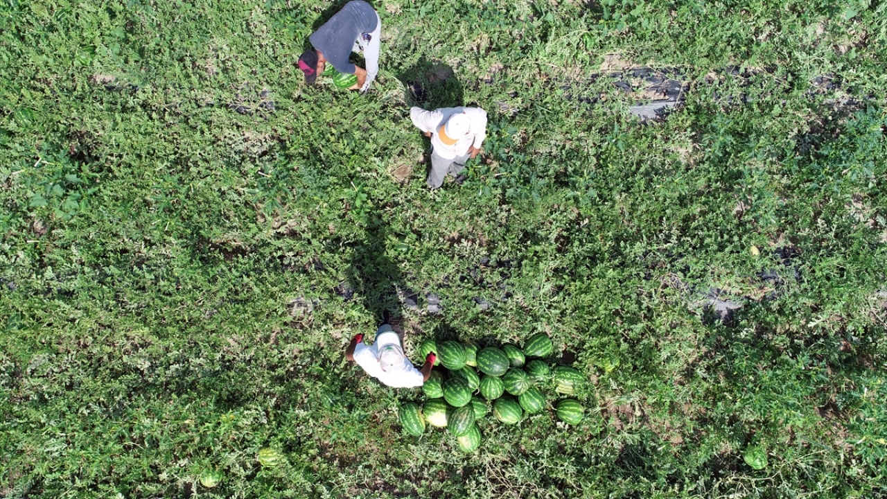 Üretici Hasan Çetin ise karpuz üretiminin çok zorlu olduğunu vurguladı.