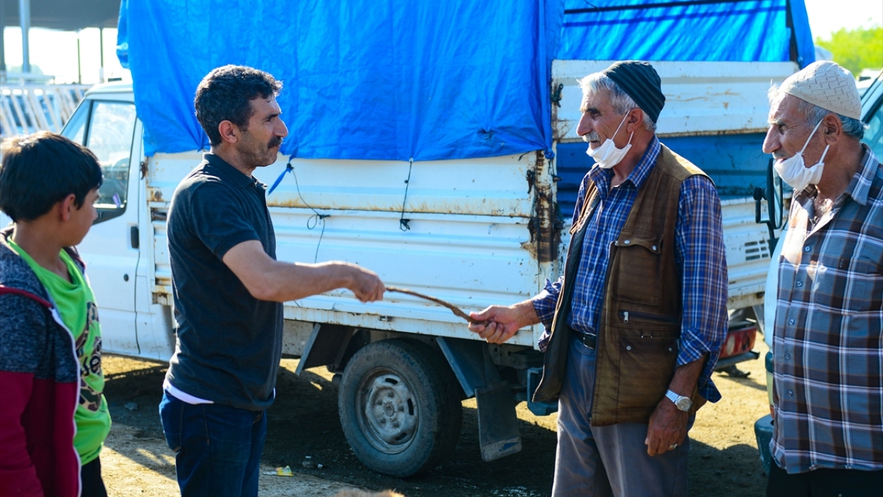Pazara gelenler, beğendikleri kurbanlığı en uygun fiyata almak, besiciler ise istedikleri fiyata satabilmek için pazarlık yapıyor.