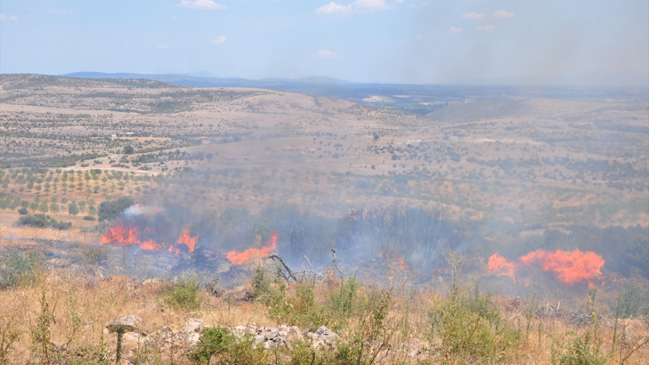 Kiremitoba Mahallesi Yalakkaya mevkisinde çıkan yangına Ezine Orman İletme Şefliği ve Ezine Belediyesi İtfaiyesine bağlı, 2 arazöz, 2 su ikmal, 1 yangın ilk müdahale aracı ve 1 itfaiye aracıyla müdahale edildi.