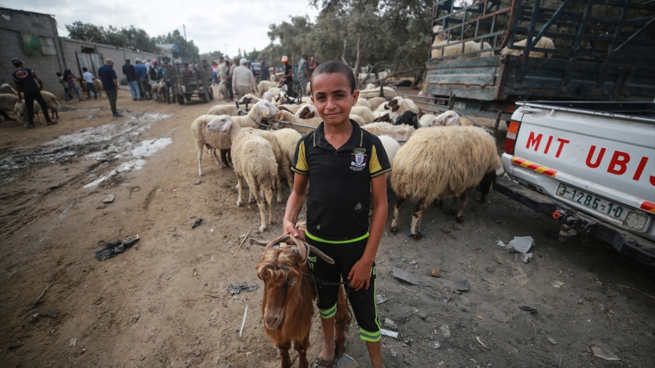 Filistinli besiciler, yıl boyu büyük emeklerle baktıkları hayvanlarını satabilmek için alıcı bekliyor.
