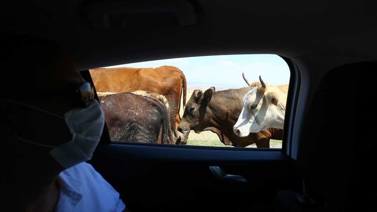 Altındağ Belediye Meclis Üyesi Hasan Üzümlükaya, yaptığı açıklamada Kovid-19 önlemleri nedeniyle kesim işlerinin randevu sistemine göre yapılacağını söyledi.