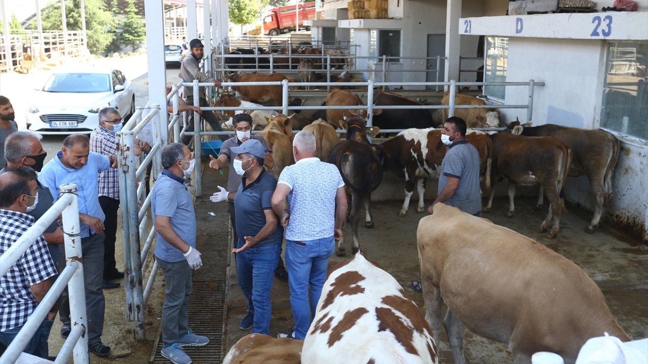 Gürkan ayrıca, satış yeri ile kesim alanının aynı tesiste olmasının olumlu yansımasını gördüklerini anlattı. 