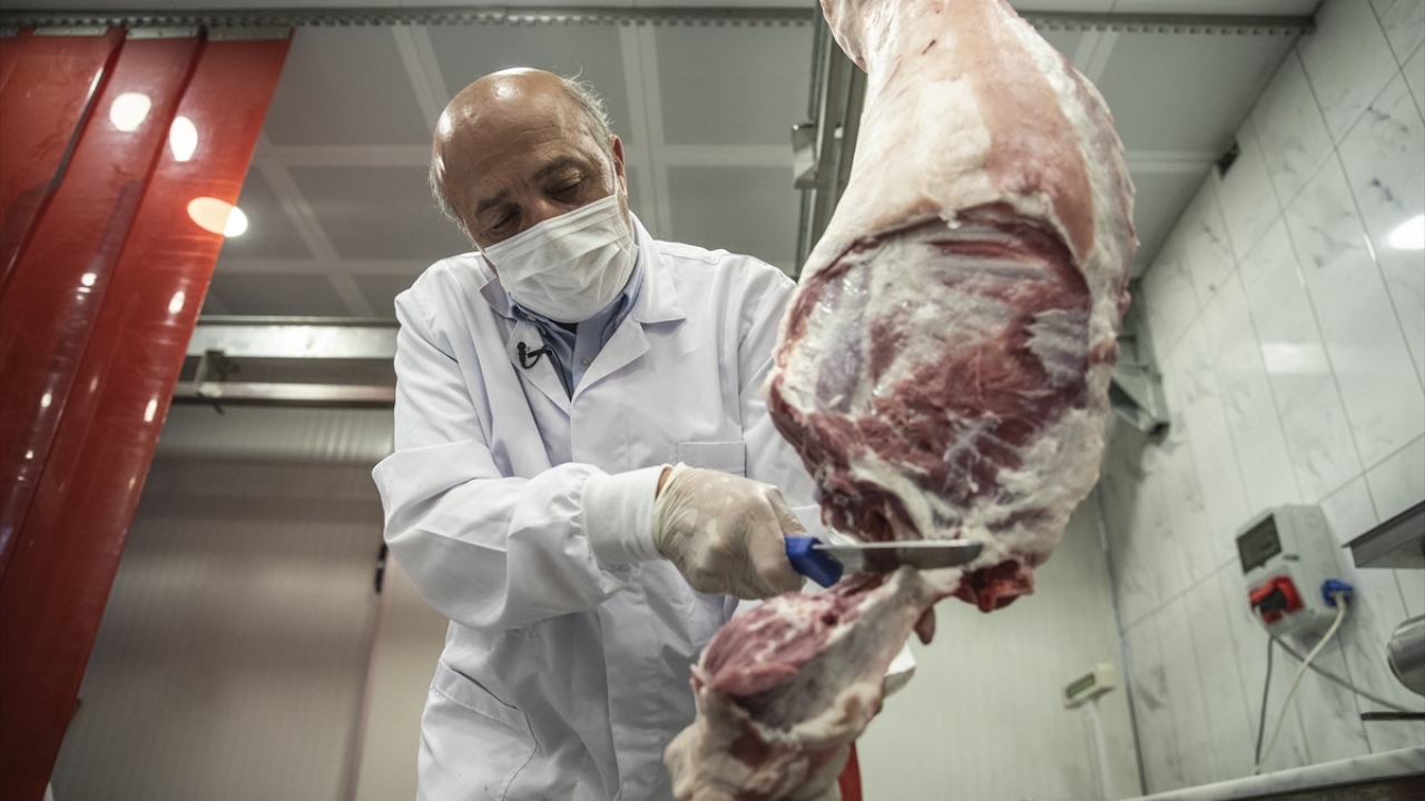 Yalçındağ, kurbanlık hayvana kesimden önceki akşamdan itibaren yiyecek ve içecek verilmemesi gerektiğine dikkati çekerek, şöyle konuştu: