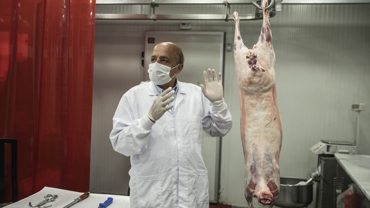 Karkas etin nasıl parçalanacağına ilişkin bilgi veren Yalçındağ, bu işlem yapılırken hayvanın eklem yerlerinin bulunması gerektiğini söyledi.