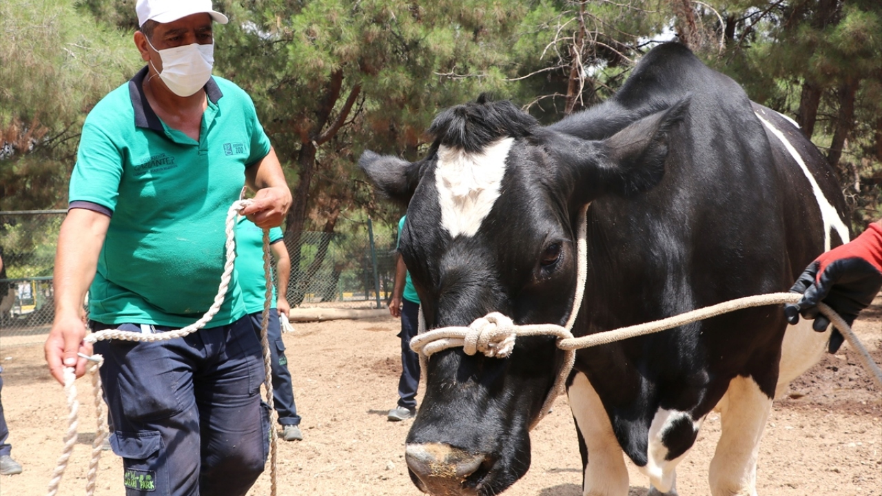 Özsöyler, ekibin bayramın 4 gününde de hazır olacağını anlatarak, şunları kaydetti: