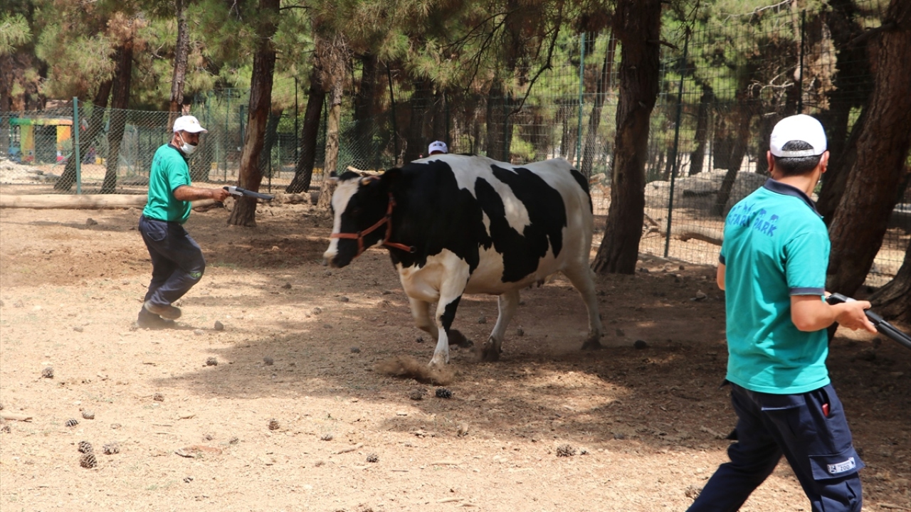 Özsöyler, yakalama timinde drone teknolojisinin de kullanılacağını sözlerine ekledi.