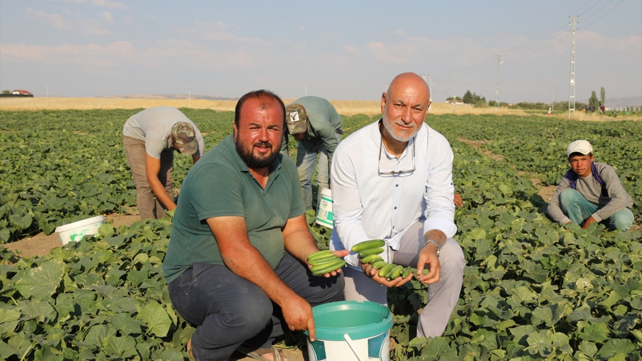 İhracatı artırma hedefi