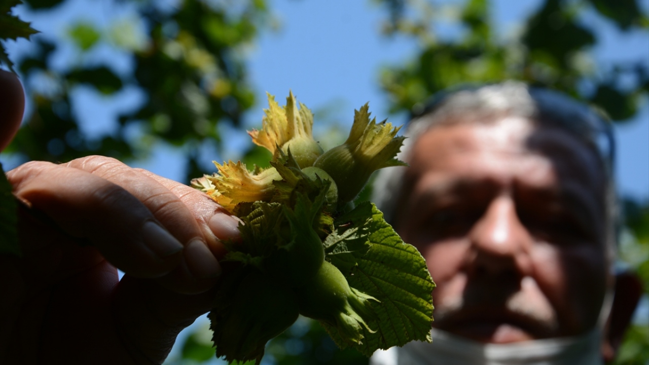 Başaran, üreticilere de uyarılarda bulunarak, şöyle devam etti: