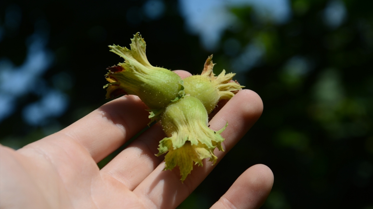 "Yüzümüzü güldürdü"