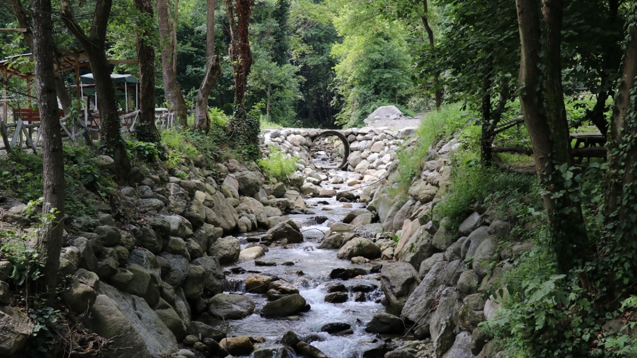 "Yüzde 90 doluluk oranlarına ulaştık"