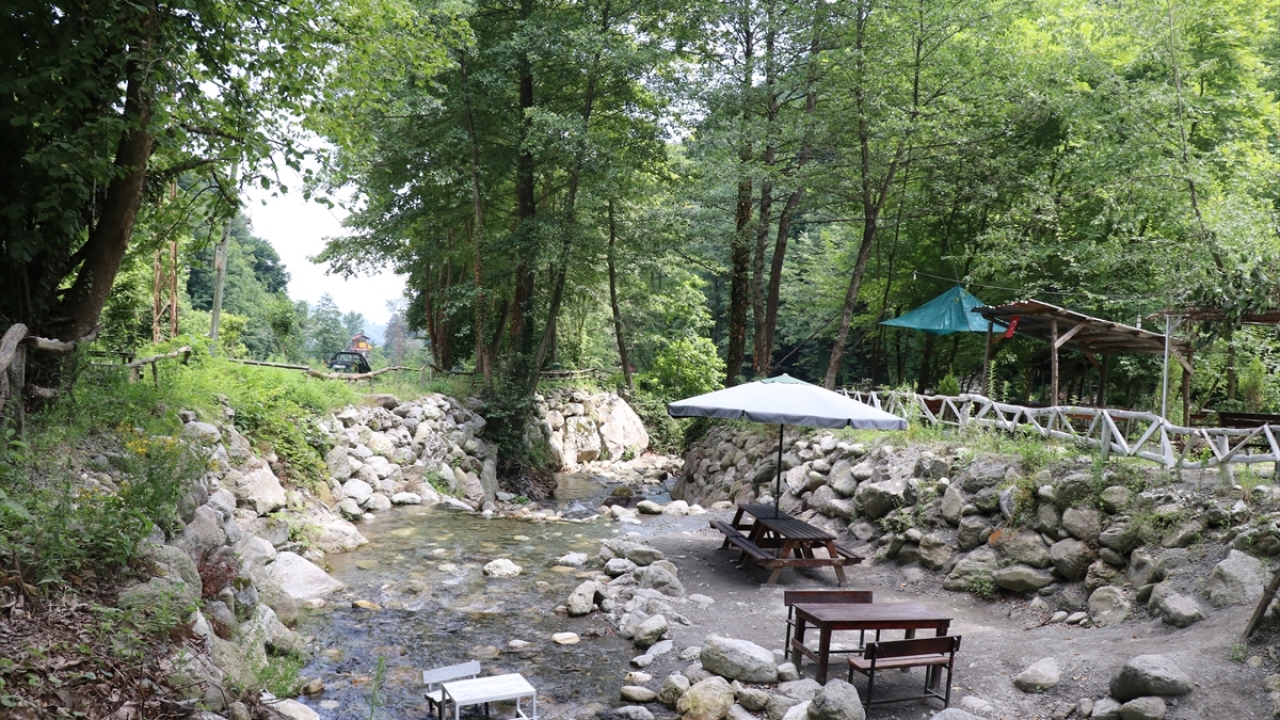 İlçedeki turist hareketliliğin iç piyasaya dayandığını aktaran Yılmazer, "İstanbul, Ankara, Denizli, Bursa gibi illerden tatilciler Sapanca`yı tercih ediyor. Otelleri saymazsak yüzde 90 doluluk oranlarına ulaştık." dedi. 