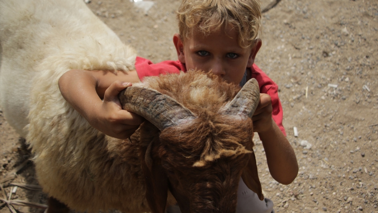 Geçen bayram kurbanlık küçükbaş hayvanların fiyatı en az 200 bin SL`ye (663 TL) denk gelirken, bu sene ise rakam iki katına çıktı.