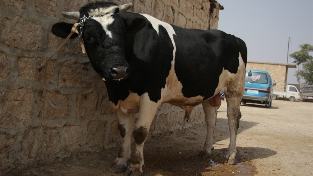"Alım gücü yok ki satış olsun"