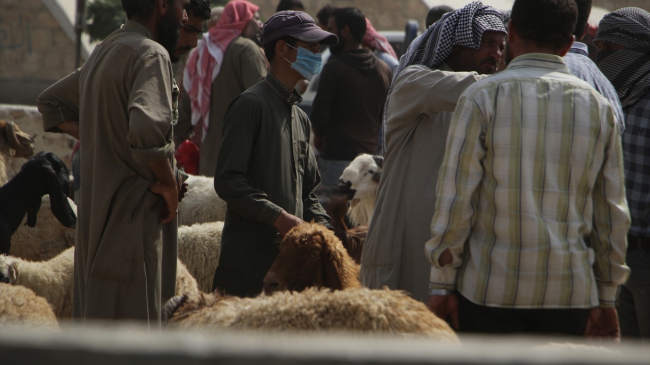 Kurban pazarındaki hareketliliğe bakmak için gelen sivillerden Bablı Samır Ali, kurban vecibesini yerine getirmekte zorlandıklarını belirterek, "Allah tüm Müslümanların yardımcısı olsun." şeklinde konuştu.