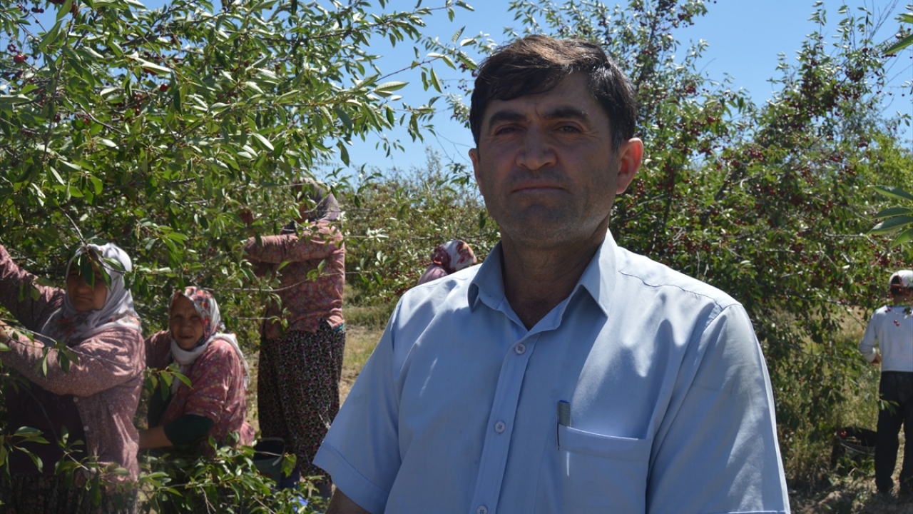 Çay ilçesinde vişne üreticiliği yapan Adnan Çelebi de doğal ve organik olarak yetiştirdikleri ürünlerin "fabrikalık, şokluk ve piyasalık" şeklinde sınıflandırılarak satıldığını anlattı.