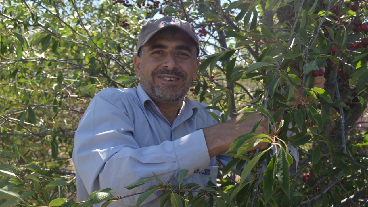 "Türkiye`de çok beğeniliyor"