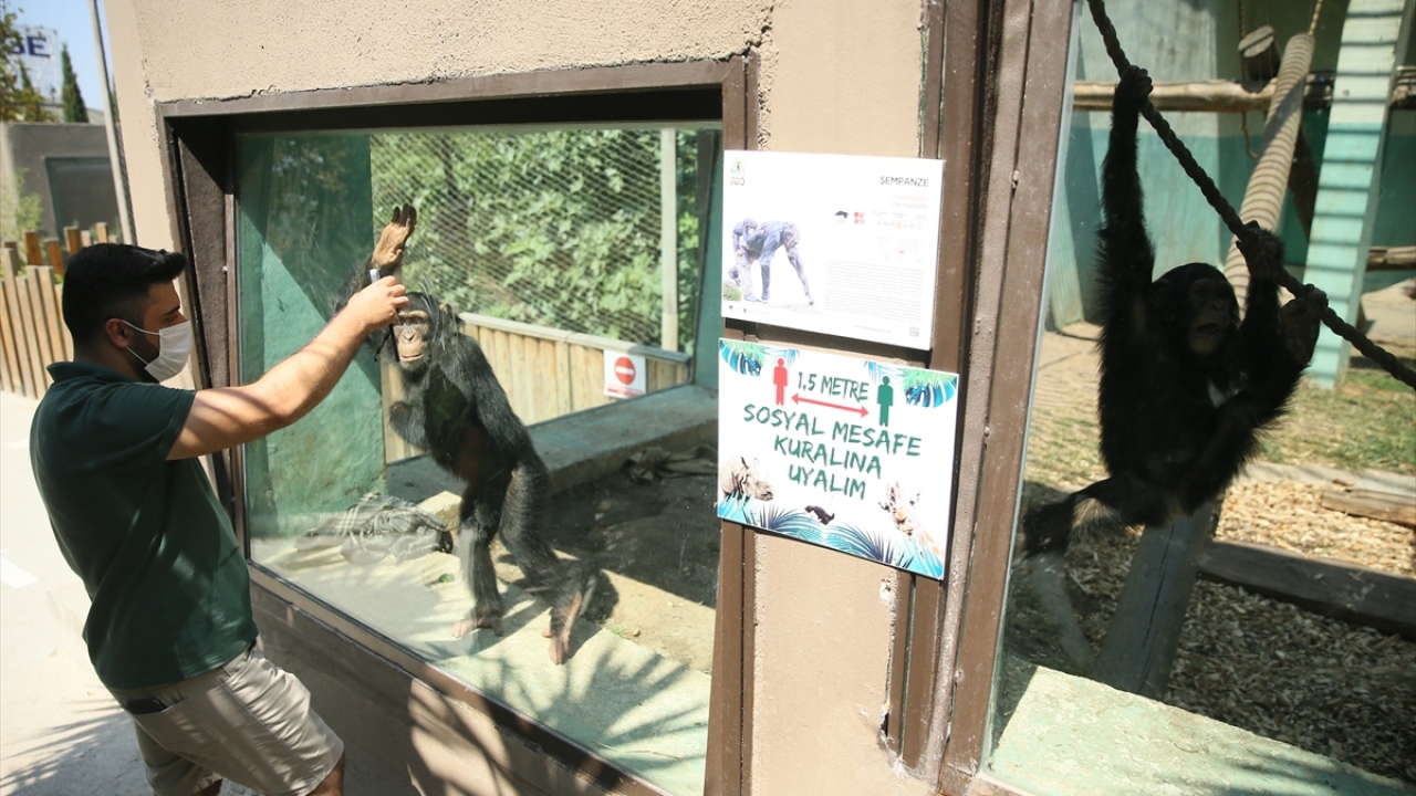 Hayvanat bahçesinde aynı zamanda botanik bahçesinin bulunduğuna işaret eden Kıroğlu, bu sayede insanların rahat bir gezi gerçekleştirebileceğini söyledi.