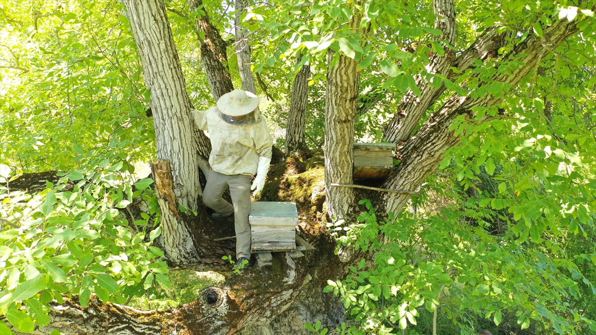 Sebahattin Şahin, çiftçiliğe çocukluktan bu yana devam ettiğini söyledi.