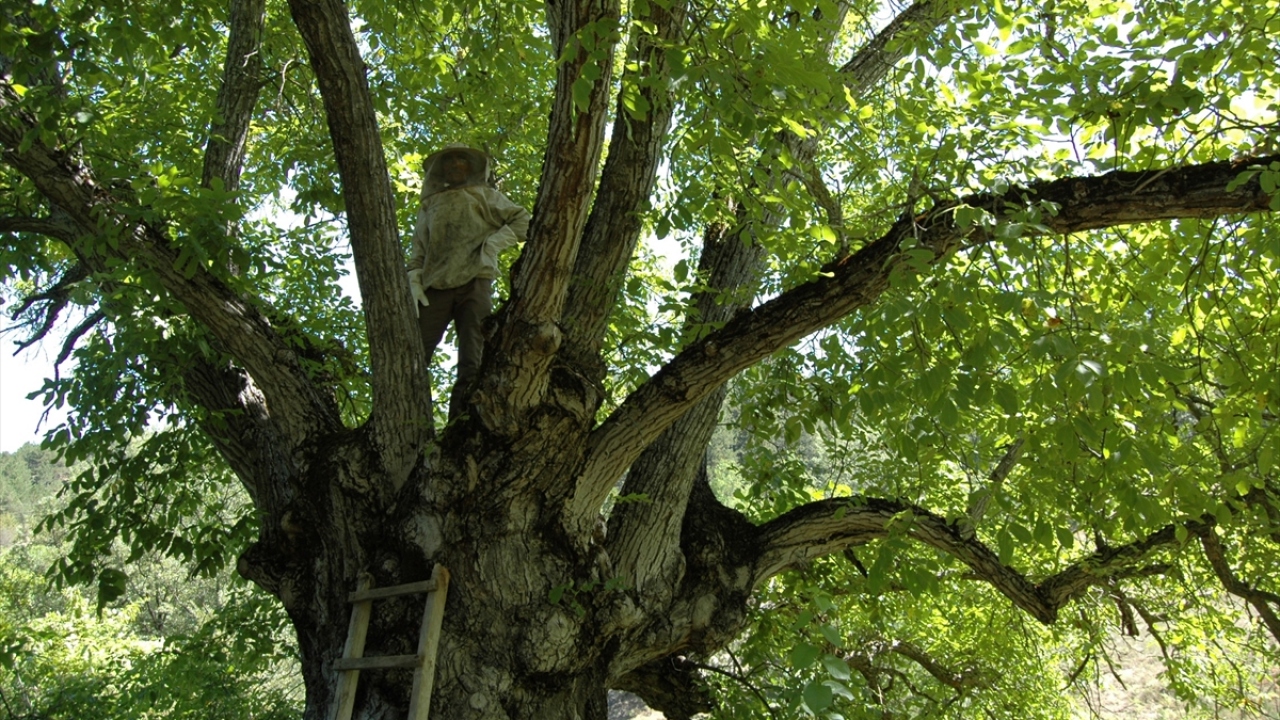 "Zor bir iş ama zevkli"