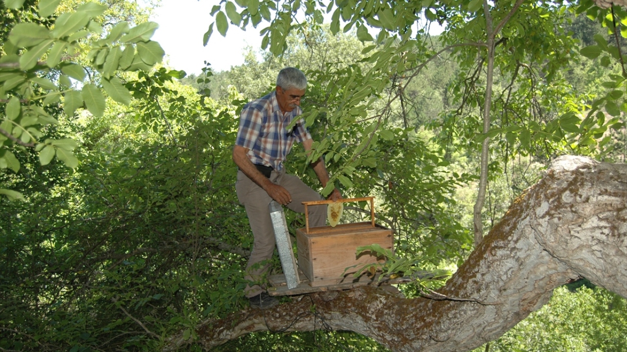 Şahin, aradan geçen süreçte kovanlarının sayısını 30`a yükselterek, çiftçiliğin yanında bu işi de sürdürüyor.