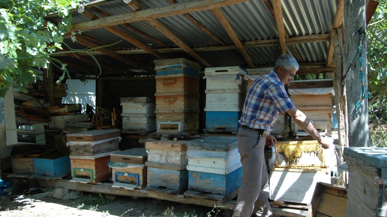 Yılda ortalama 300 kilogram bal ürettiğini ifade eden Şahin, bunları ilçedeki müşterilerine sattığını sözlerine ekledi.