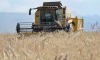 Tarım Kredi'den 7 ayda rekor arpa alımı