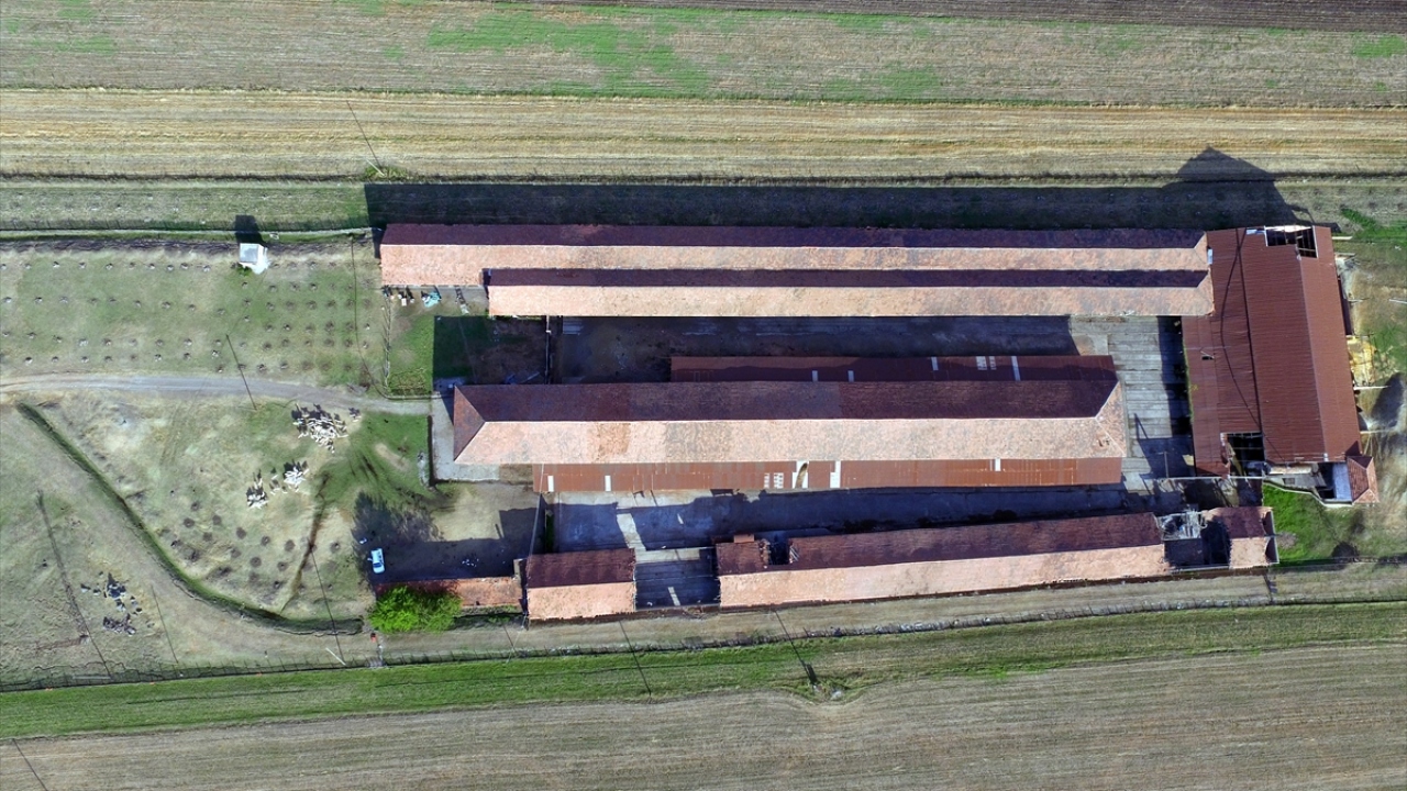 Kentte 10 yıldır süt keçisi yetiştirdiğini belirten Şimşek, "Keçi sütünü genellikle kanser hastaları ve bebeklerine sütü yetmeyen anneler alıyordu ancak koronavirüs salgını sürecinde keçi sütüne talep birden arttı." dedi.