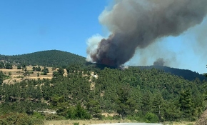 Çanakkale'de orman yangını