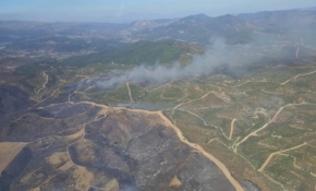 İzmir'de otluk alanda yangın çıktı