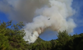 Manisa'da ormanlık alanda yangın