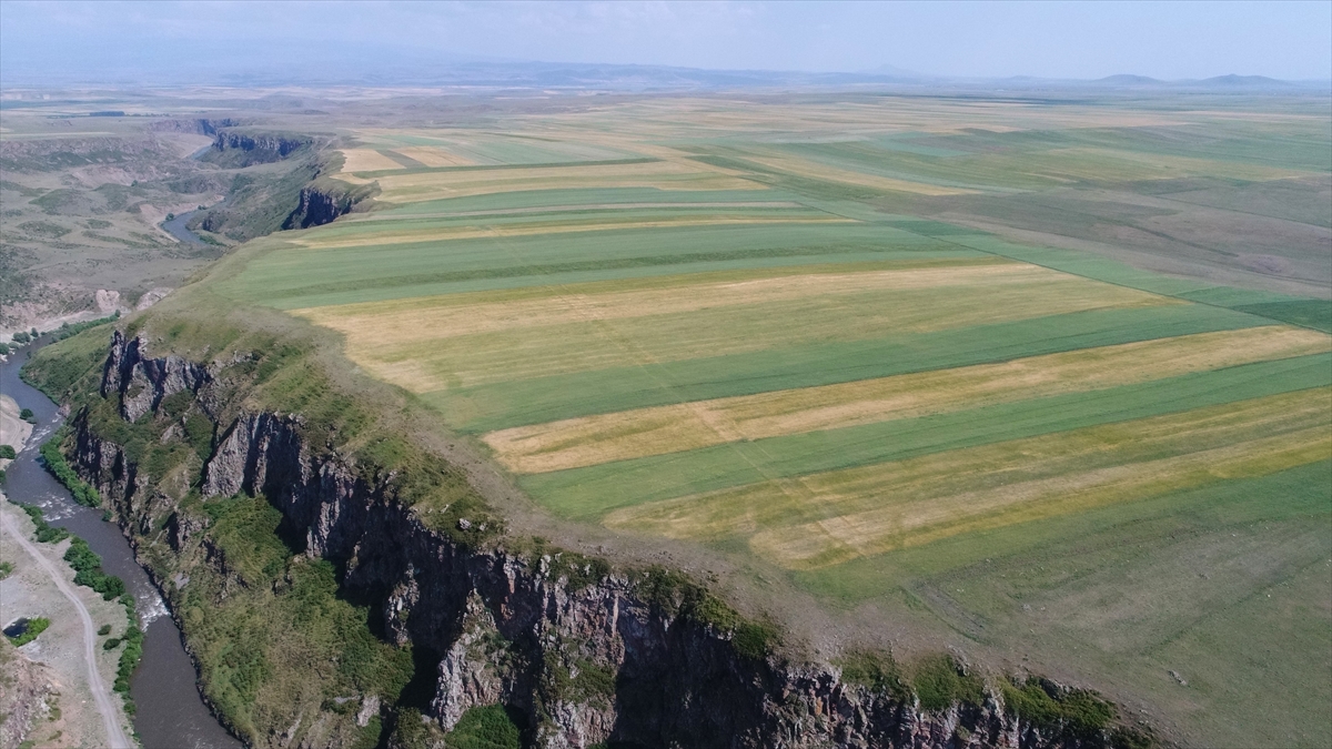 Yaklaşık 100 kamyon çöp çıkarıldı