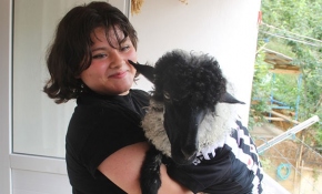 Elmas ailesinin yeni üyesi 'Cimcime'