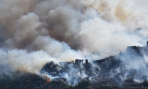 İzmir'de orman yangını