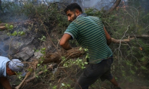 Suriyeli Hasan İzmir'deki yangını söndürmek için avuçlarıyla toprak taşıdı