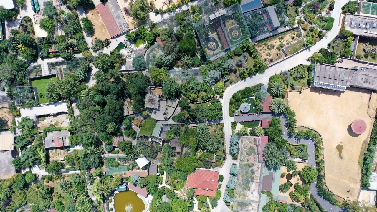 Darıca Kuş Cenneti 