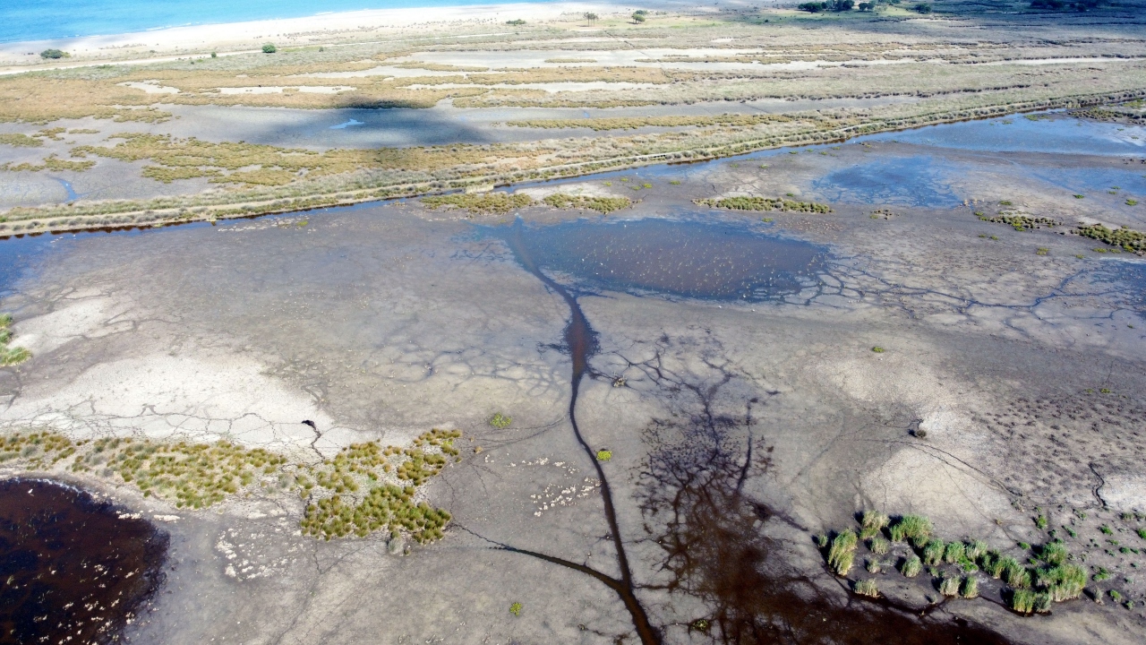 Kızılırmak Deltası Kuş Cenneti