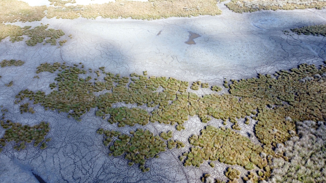 Kızılırmak Deltası Kuş Cenneti