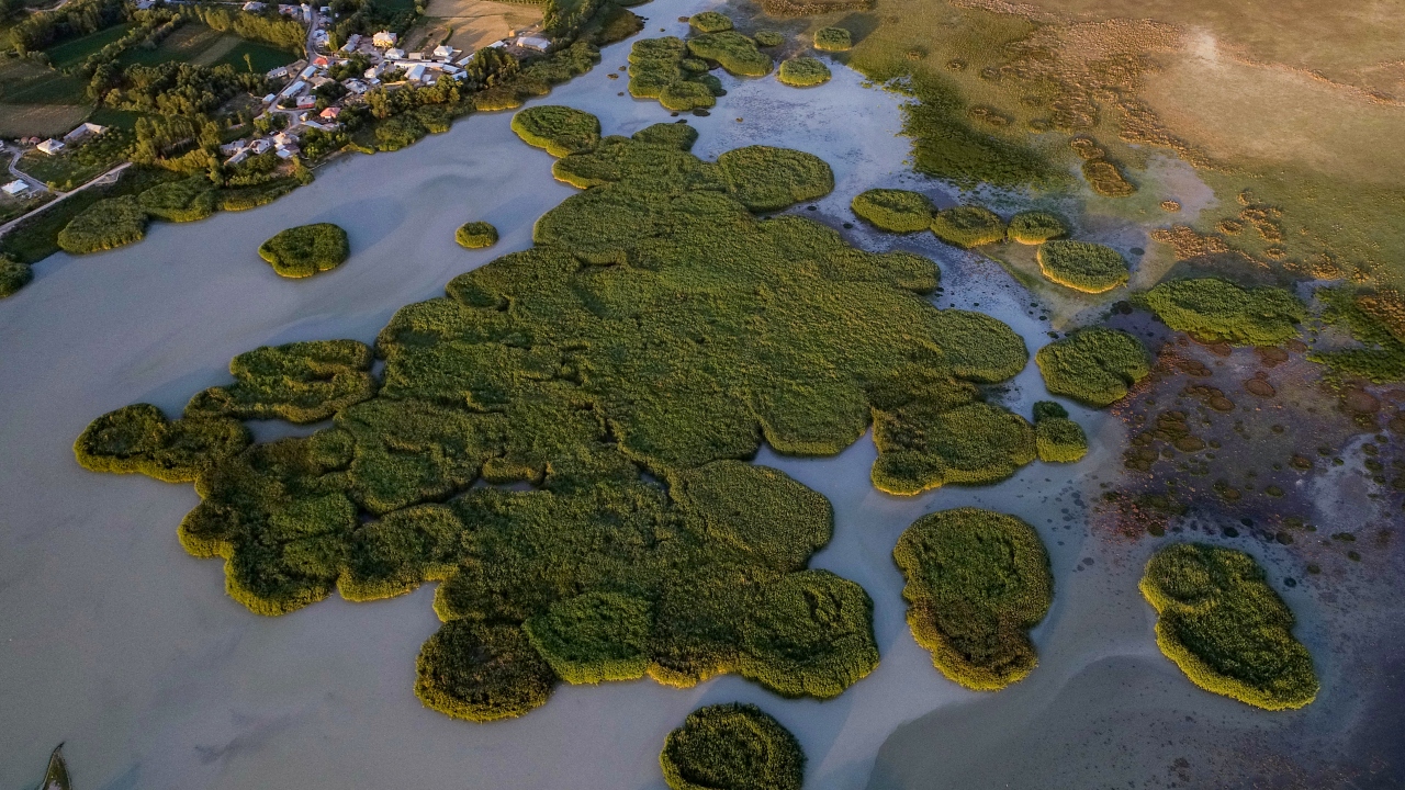 Erçek Gölü Kuş Cenneti - Van