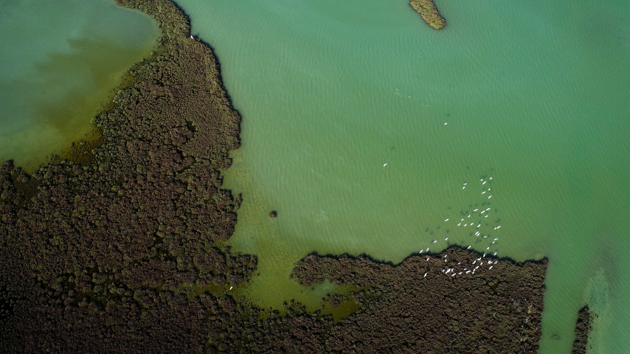 Göksu Deltası Kuş Cenneti