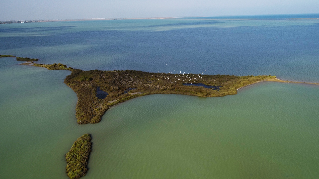 Göksu Deltası Kuş Cenneti