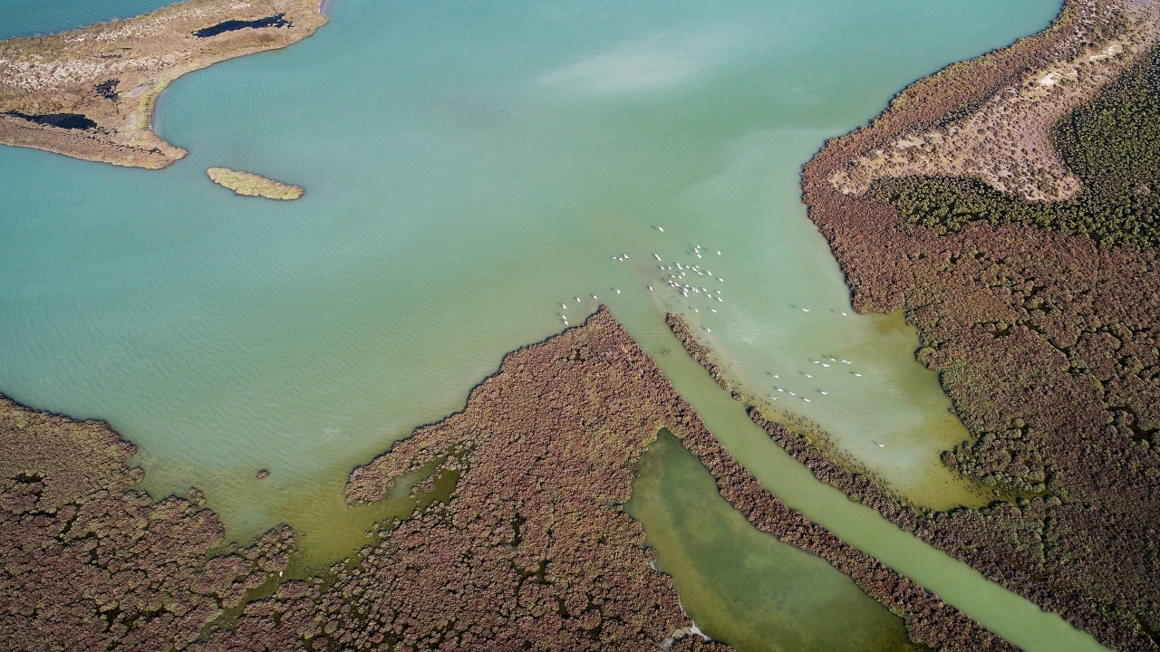 Göksu Deltası Kuş Cenneti