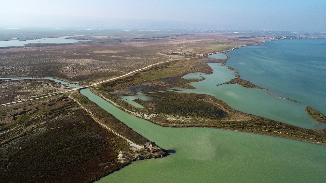 Göksu Deltası Kuş Cenneti