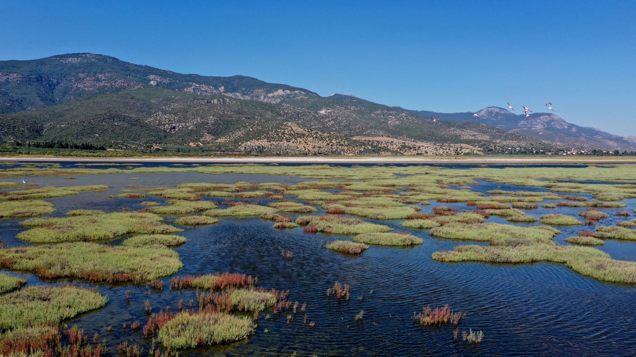 Dilek Yarımadası Büyük Menderes Deltası Milli Parkı 